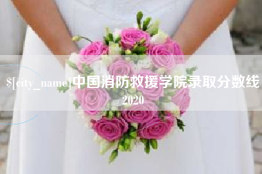 宜都中国消防救援学院录取分数线2020