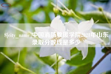 宜都中国消防救援学院2021年山东录取分数线是多少