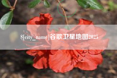 宜都谷歌卫星地图2025