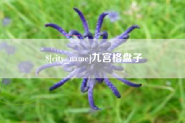 宜都九宫格盘子