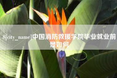 宜都中国消防救援学院毕业就业前景如何