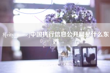 宜都中国执行信息公开网是什么东西