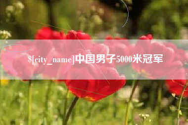 宜都中国男子5000米冠军