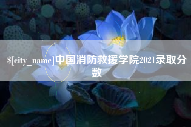 宜都中国消防救援学院2021录取分数