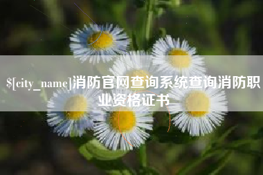 宜都消防官网查询系统查询消防职业资格证书