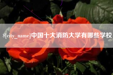 宜都中国十大消防大学有哪些学校