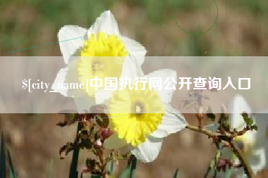 宜都中国执行网公开查询入口