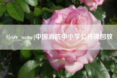 宜都中国消防中小学公开课回放
