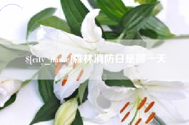 宜都森林消防日是哪一天