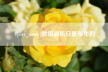 宜都我国消防日是每年的