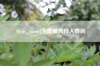 宜都失信被执行人杳询