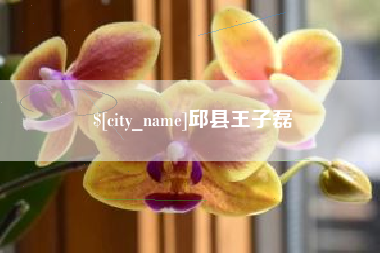 宜都邱县王子磊