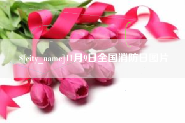 宜都11月9日全国消防日图片