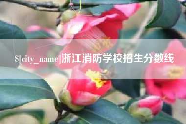 宜都浙江消防学校招生分数线