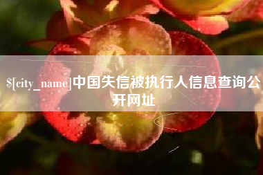 宜都中国失信被执行人信息查询公开网址