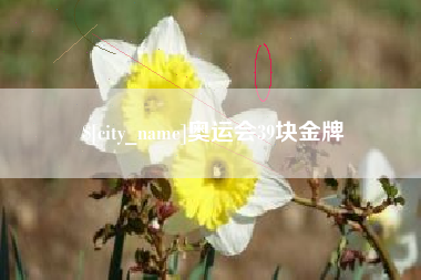 宜都奥运会39块金牌