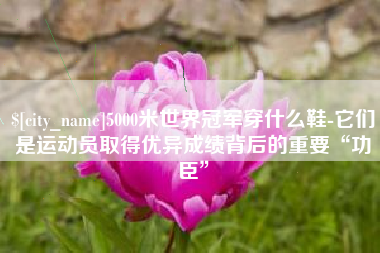 宜都5000米世界冠军穿什么鞋-它们是运动员取得优异成绩背后的重要“功臣”