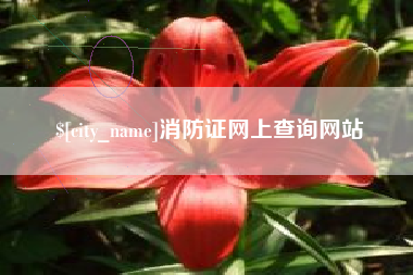 宜都消防证网上查询网站