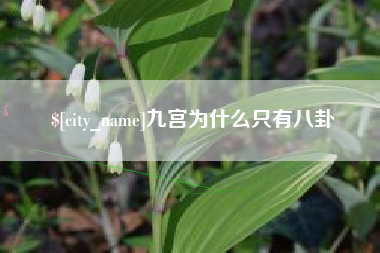 宜都九宫为什么只有八卦