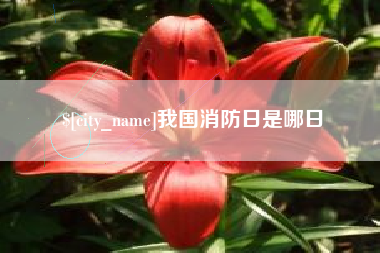 宜都我国消防日是哪日
