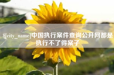 宜都中国执行案件查询公开网都是执行不了得案子