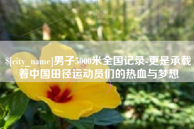 宜都男子5000米全国记录-更是承载着中国田径运动员们的热血与梦想