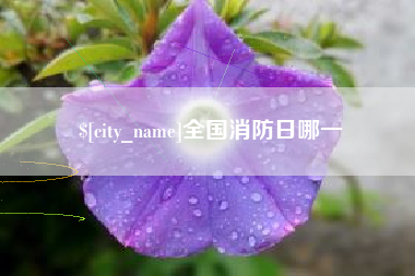 宜都全国消防日哪一