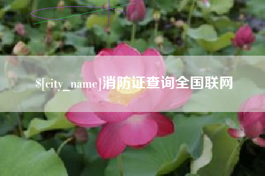 宜都消防证查询全国联网