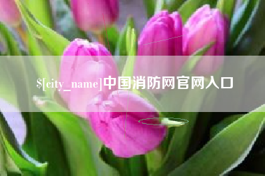 宜都中国消防网官网入口