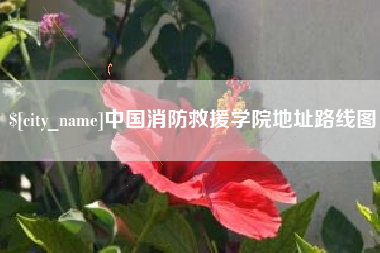 宜都中国消防救援学院地址路线图