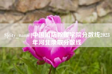 宜都中国消防救援学院分数线2023年河北录取分数线