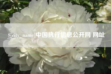 宜都中国执行信息公开网 网址