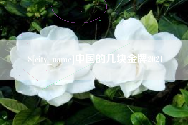 宜都中国的几块金牌2021