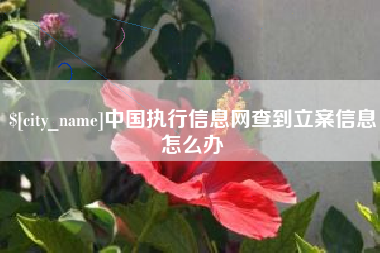 宜都中国执行信息网查到立案信息怎么办