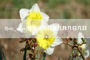 宜都我国消防日是几月几日几日
