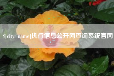 宜都执行信息公开网查询系统官网