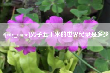 宜都男子五千米的世界纪录是多少