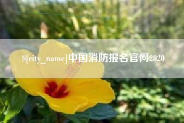 宜都中国消防报名官网2020
