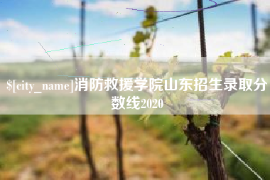 宜都消防救援学院山东招生录取分数线2020
