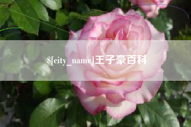 宜都王子豪百科