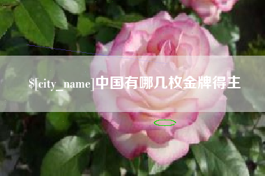 宜都中国有哪几枚金牌得主