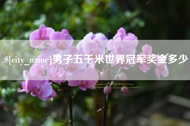 宜都男子五千米世界冠军奖金多少