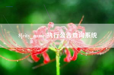 宜都执行公告查询系统