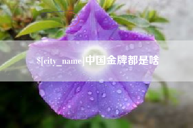 宜都中国金牌都是啥