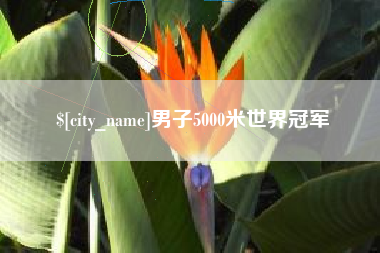 宜都男子5000米世界冠军