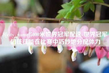 宜都5000米世界冠军配速-世界冠军们往往能在比赛中巧妙地分配体力