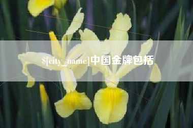 宜都中国金牌包括