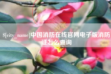 宜都中国消防在线官网电子版消防证怎么查询