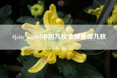 宜都中国九枚金牌是哪九枚