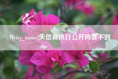 宜都失信被执行公开网查不到